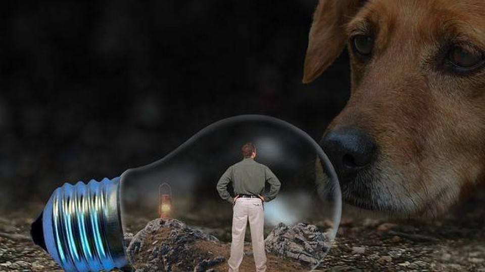 Man in lamp met hond