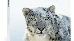 Apple gunt eerste blik op OS X 10.6.5