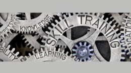 Productiviteitswinst AI vaak ingezet voor meer automatisering en talentontwikkeling