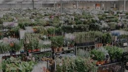 Royal Lemkes verstevigt positie in agrarische sector