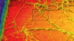 Huidige computers vreselijk uit de tijd