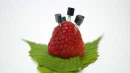 Duurzame keuzes dankzij technologie