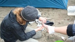 Claim dreigt voor ontwikkelaar iOS-app Vierdaagse