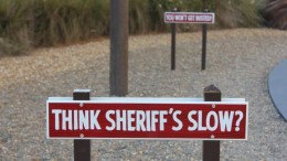 Disney's videoservers kunnen eerste dag niet aan