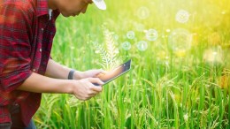 Casestudy: aan de slag met low code, maar hoe begin je?