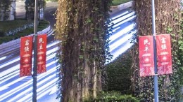 'Digitale handel blijft twistpunt China en VS'