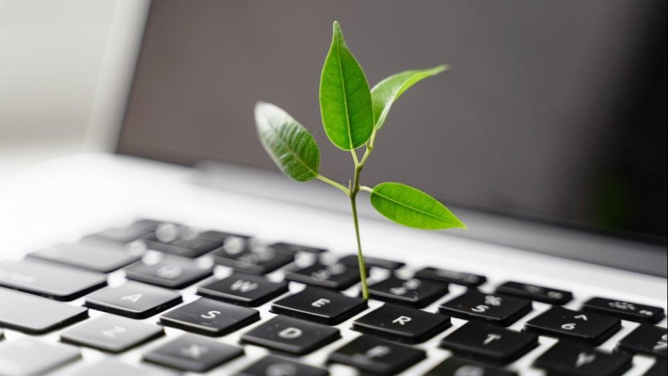 Groen plantje dat uit een toetsenbord groeit