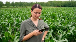 Stralingswerende update voor iPhone 12 ligt ook in Nederland voor de hand