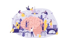 Computational Social Sciences combineert bèta- en gamma-wetenschap