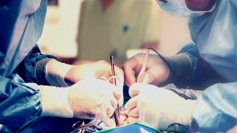 Linux Foundation graaft diep in mores opensource