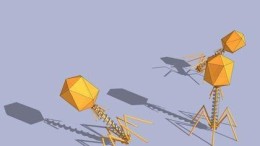 Website tegen computerchantage populair