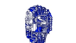 Pegasystems biedt inkijkje in black box van algoritme