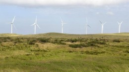 Onderzoek: verduurzamingsplannen Google en Amazon onvoldoende