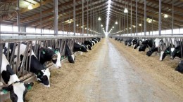 URUS blijft veilig groeien met endpoint- en serverbeveiliging van Trend Micro URUS blijft veilig groeien met endpoint- en serverbeveiliging van Trend Micro