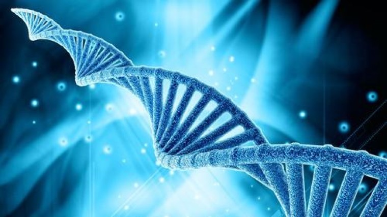 DNA als opslagmedium van de toekomst