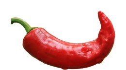 Bedrijfsleven mist peper in digitale strategie overheid