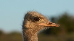 Drie tips om cybercriminelen voor te blijven