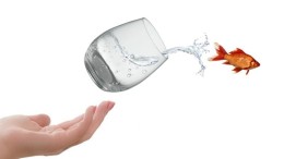 Zo krijg je de organisatie in digitaliseringsmodus