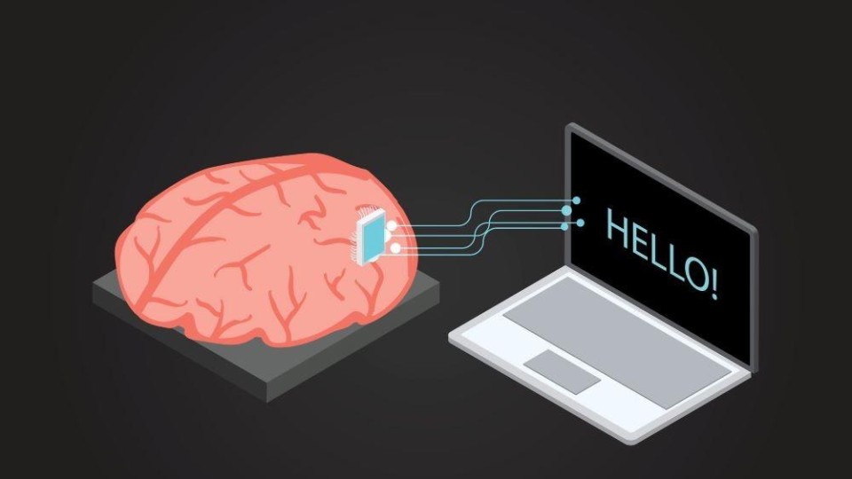 brein aan een computer