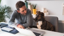 Google geeft experimentele chatbot vrij onder voorwaarden