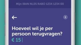 ‘Nederlandse fintech mist boldness’