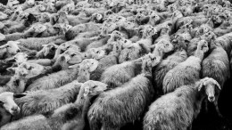 Bestaat de ideale performancetest?