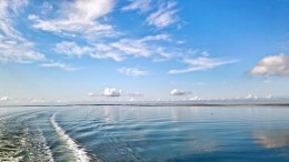 Initiatiefnemers brandbrief: 'Visie op zeekabels is een doorbraak'