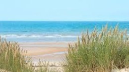 Vertraagde software bezorgt strandgasten Hoek van Holland mogelijk teleurstelling