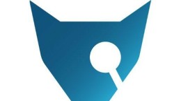 Intern onderzoek bij Fox-IT en schorsing directieleden