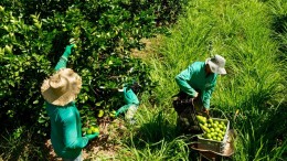 IT helpt ook CO2 uìt de lucht te halen