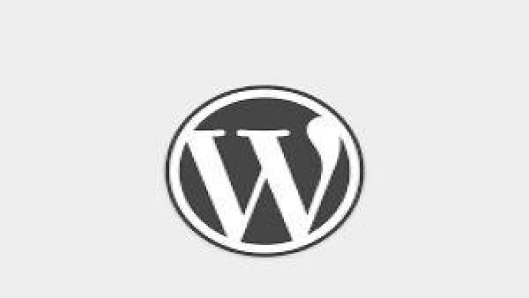 Bijna een derde van het web is WordPress