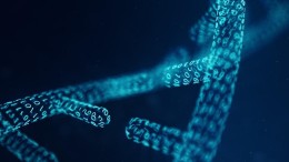 Nieuwe techniek verbetert evolutie in AI