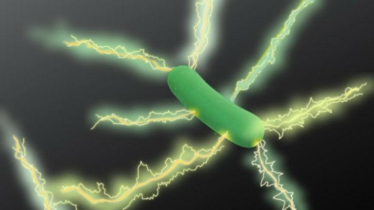 Green IT komt binnenkort van bacterie