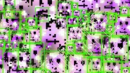 Textielpatroon frustreert gezichtsherkenning