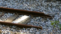 Wat er gebeurt na digitale disruptie